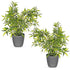 Plastic Plant Pot with Wave Design 18cm Grey - Set of 2